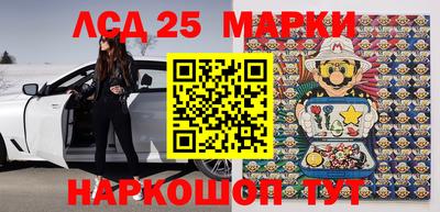 гидропоника Моздок