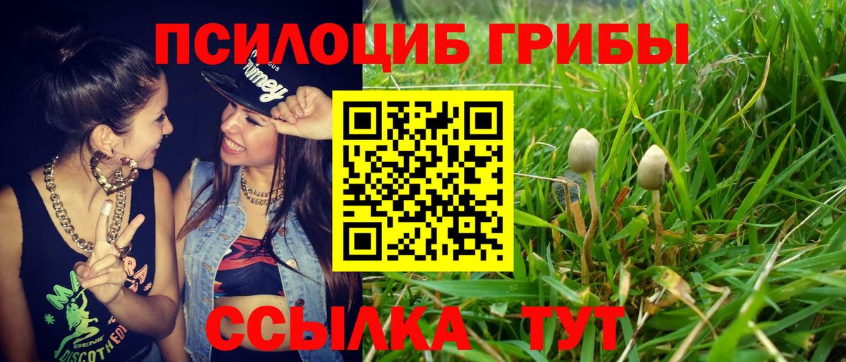 Улан-Удэ  Галлюциногенные грибы ЛСД  Псилоцибиновые грибы прущие грибы  Вход с VPN 