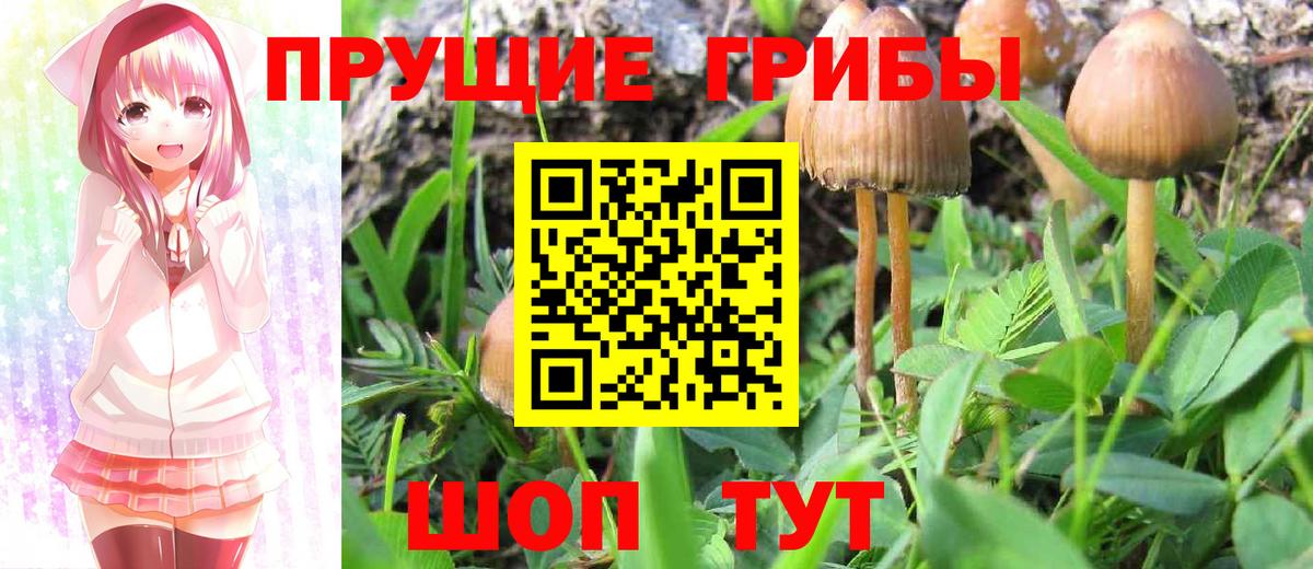 Галлюциногенные грибы MAGIC MUSHROOMS Улан-Удэ